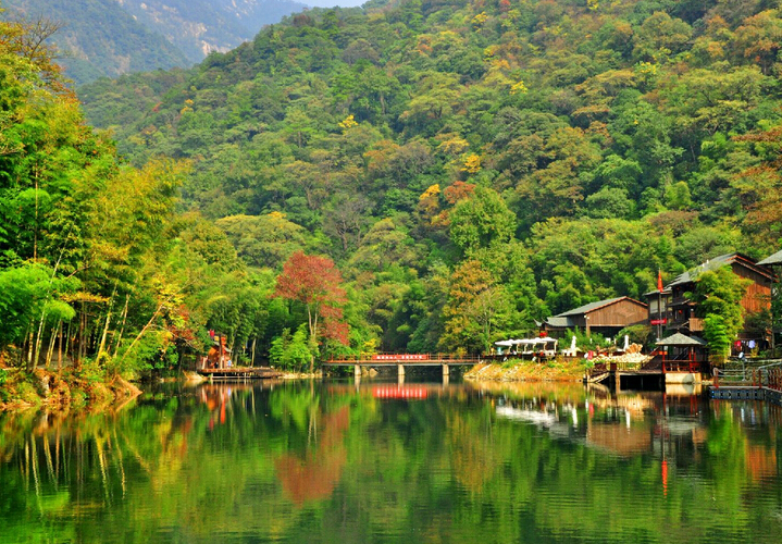 ,韩国,加拿大专家介绍了三地森林疗养发展的验,森林疗养